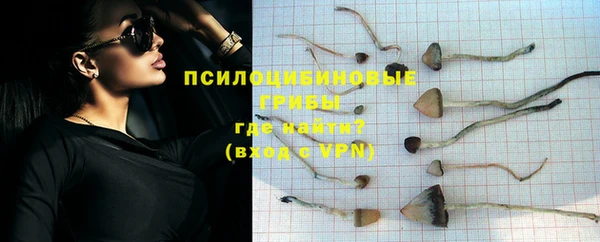 эйфоретик Майский