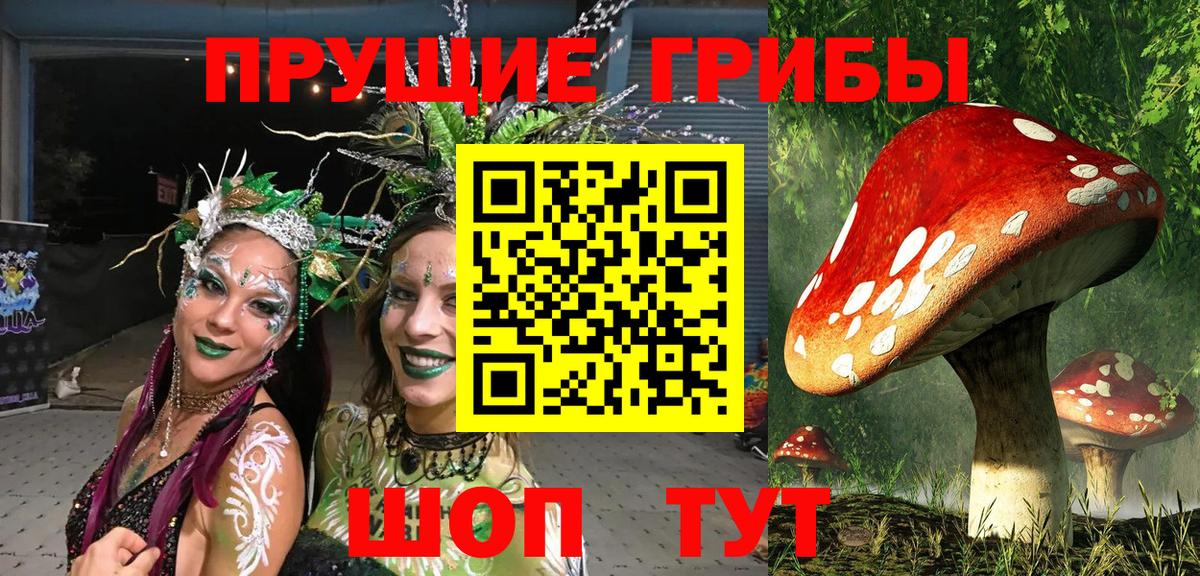 Псилоцибиновые грибы Psilocybine cubensis  как найти закладки  Псилоцибиновые грибы MAGIC MUSHROOMS  Слободской  Вход с VPN 
