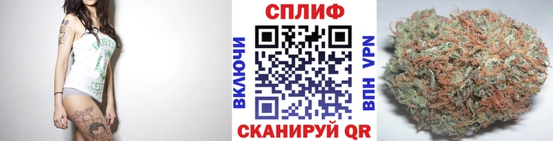 Каннабис план Слободской