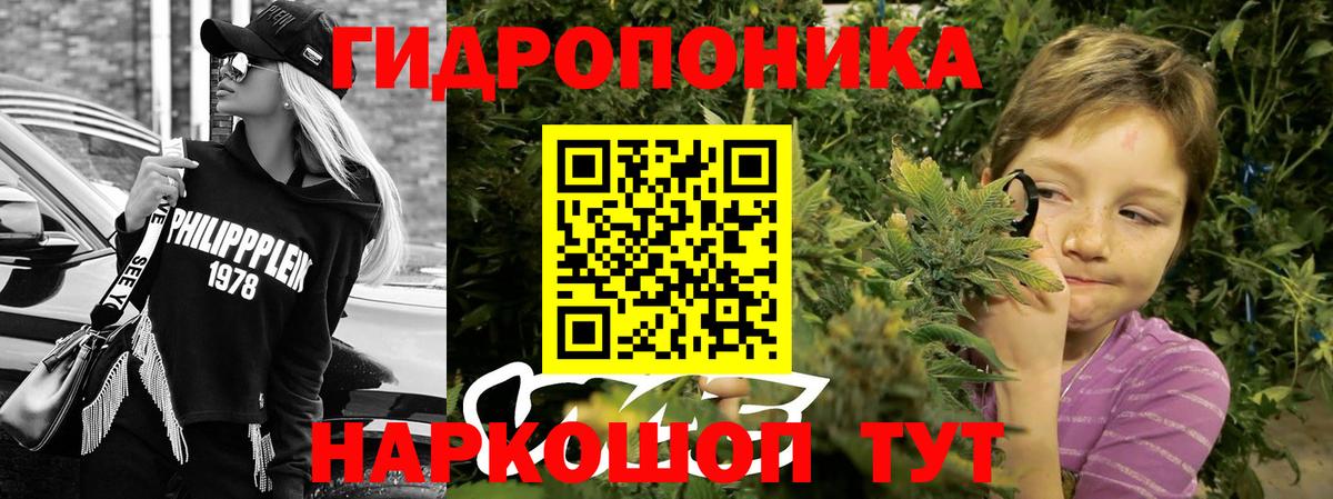 Конопля конопля Слободской